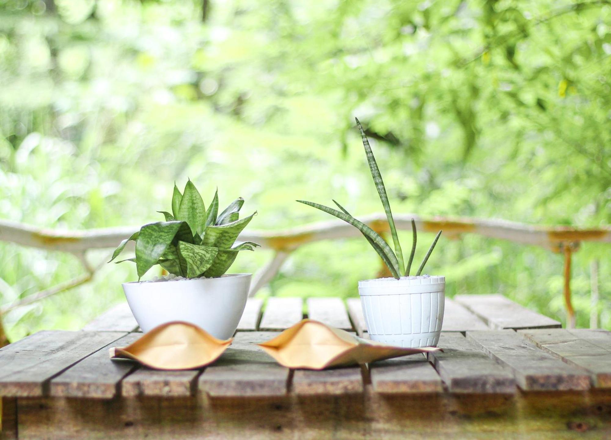 Seasons Four Mini Jungle Cabana มาตารา ภายนอก รูปภาพ
