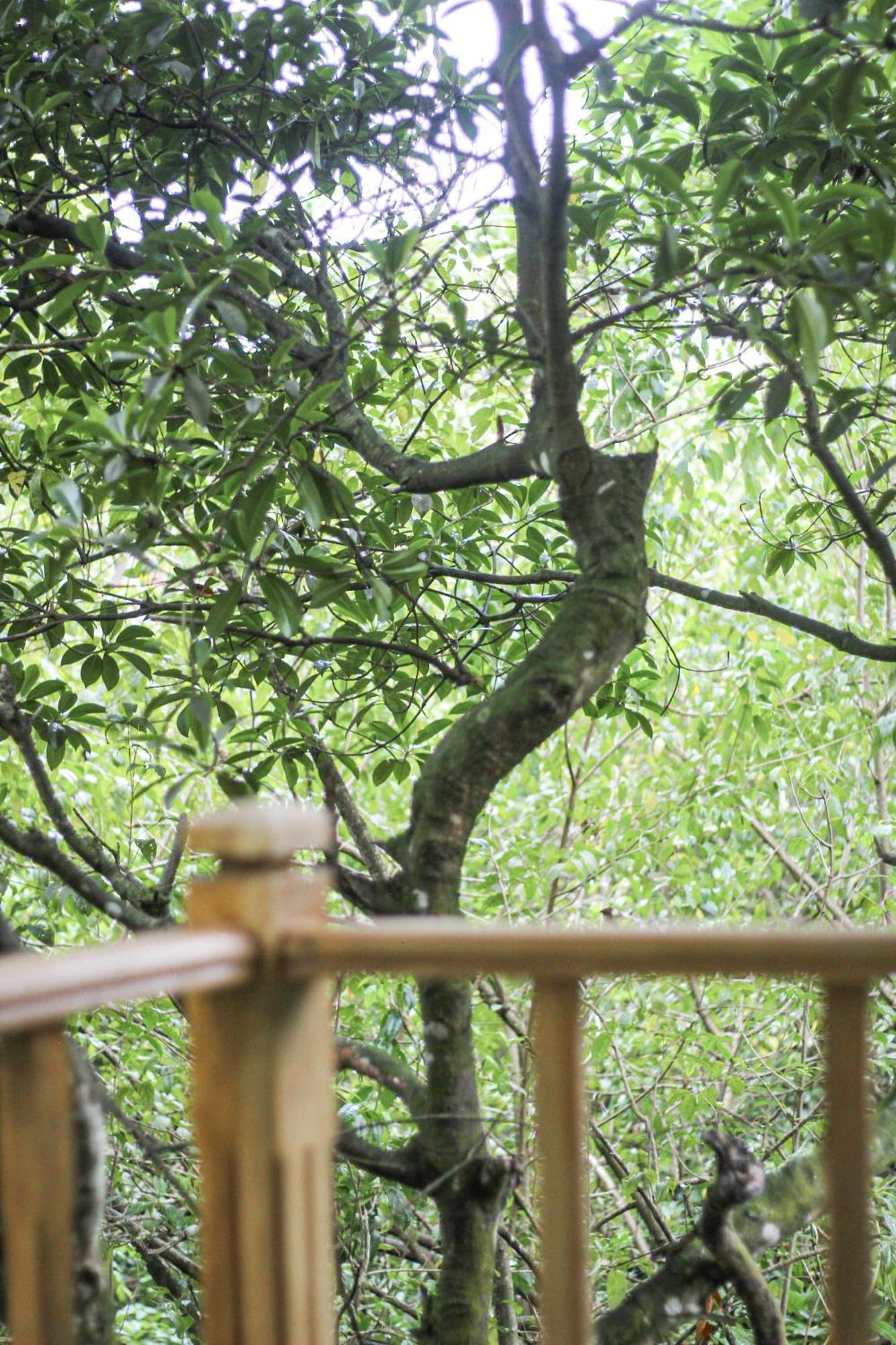 Seasons Four Mini Jungle Cabana มาตารา ภายนอก รูปภาพ