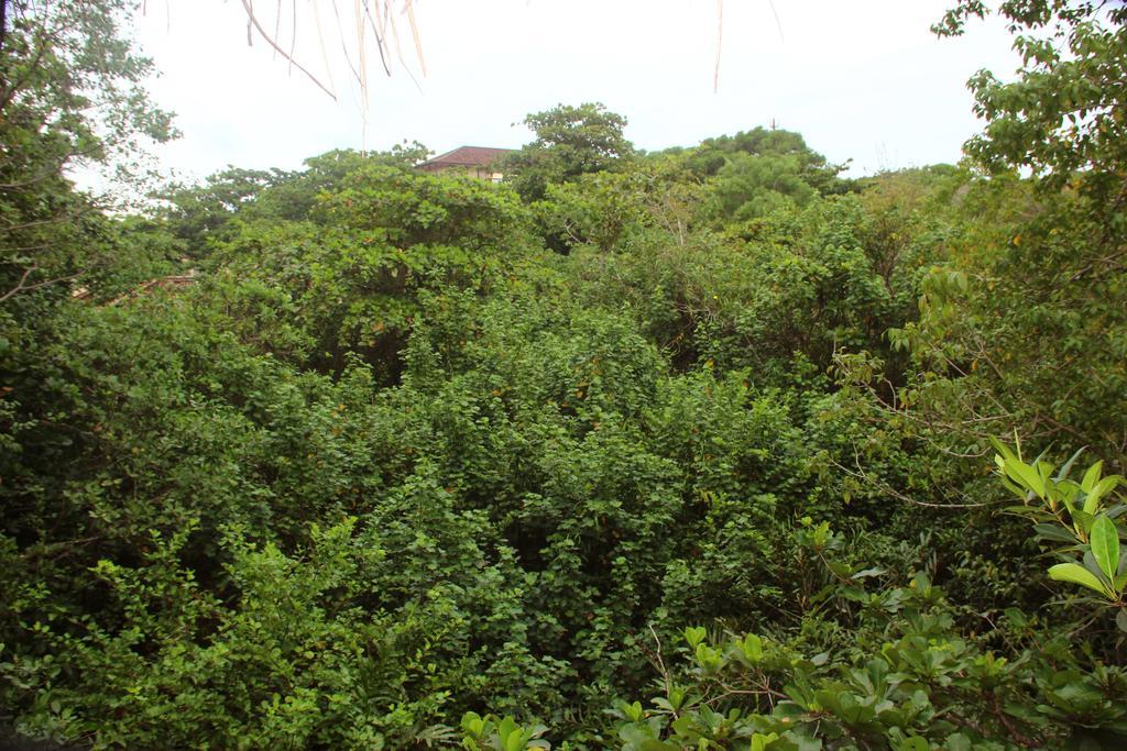 Seasons Four Mini Jungle Cabana มาตารา ภายนอก รูปภาพ